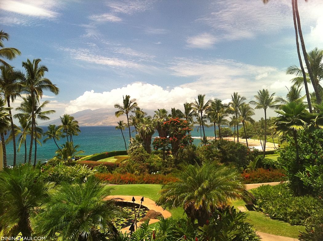 Top Maui Restaurants Humble Market View