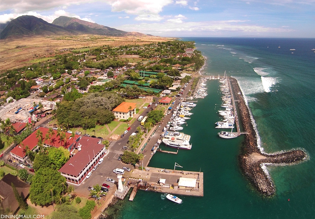 Top Maui Restaurants Papaʻaina Lahaina