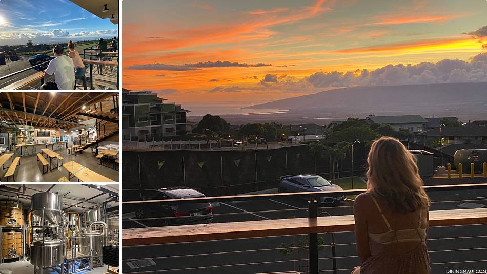 Where To Drink On Maui Mahalo Aleworks
