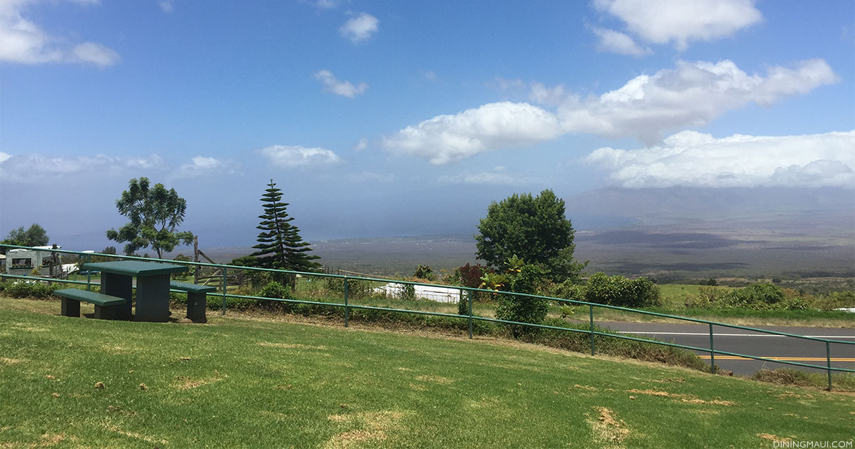 Maui Picnic Spots - The Best Spots For A Picnic On Maui