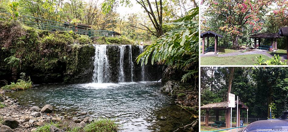 Maui Picnic Spots Puaa Kaa Park