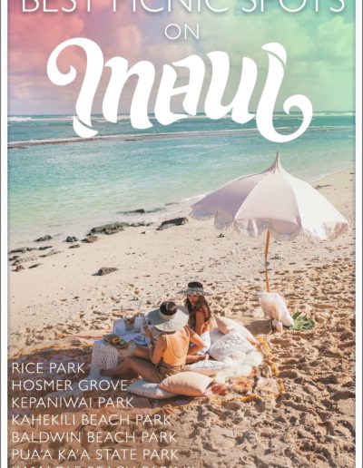 Maui picnics