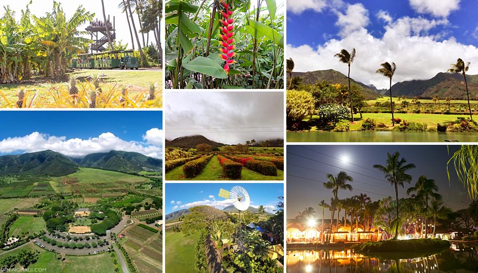 Maui Farm Tours Tropical Plantation