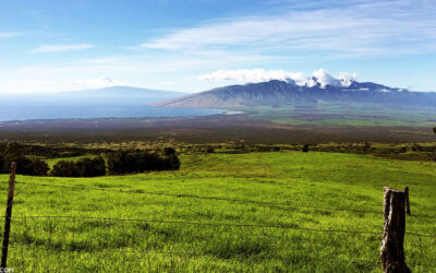 Best Maui Farm Tours