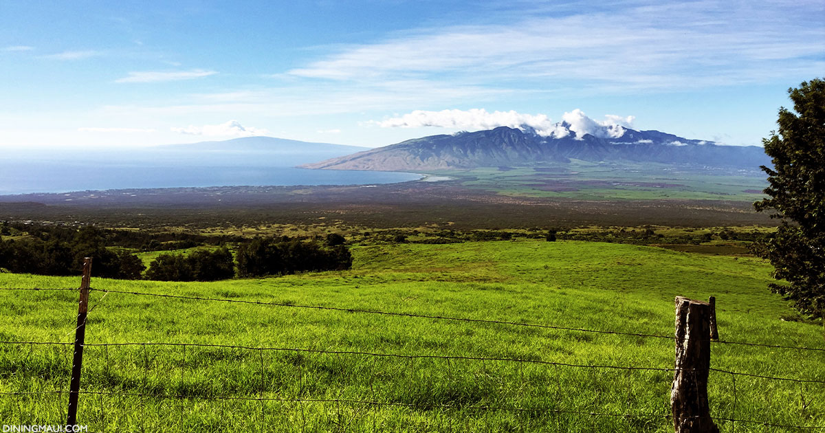 The Best Maui Farm Tours - Dining Maui