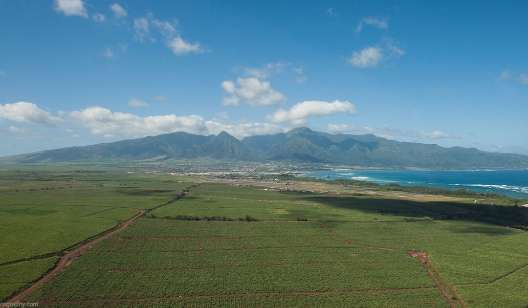 Where To Find Costco In Maui
