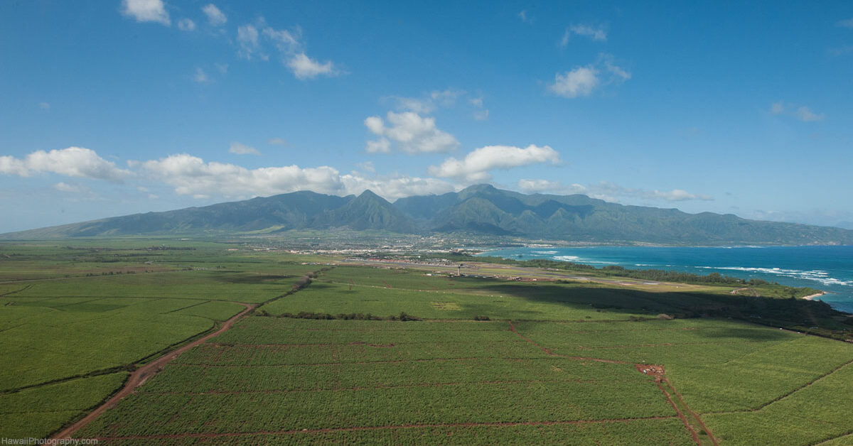 Where To Find Costco In Maui