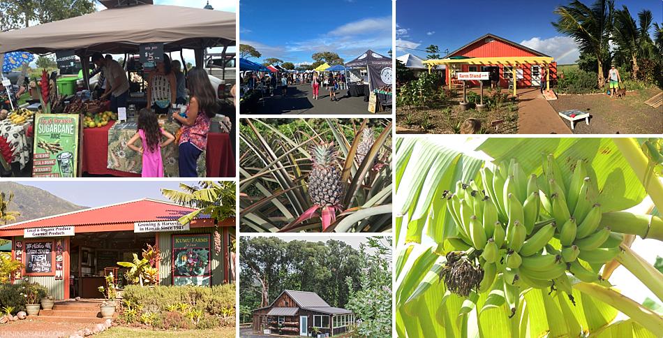 Where To Get Tropical Fruit In Maui