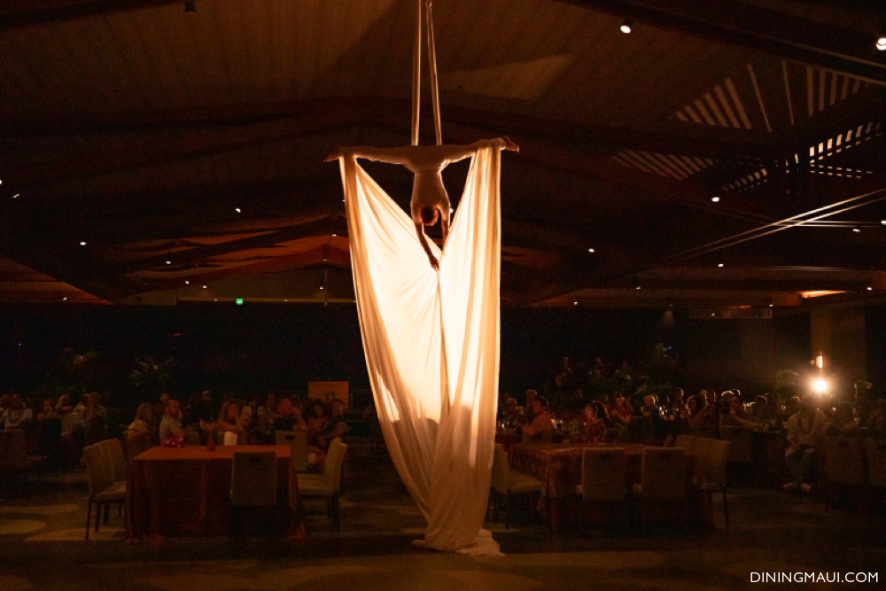 Aerial Silks Maui Luau