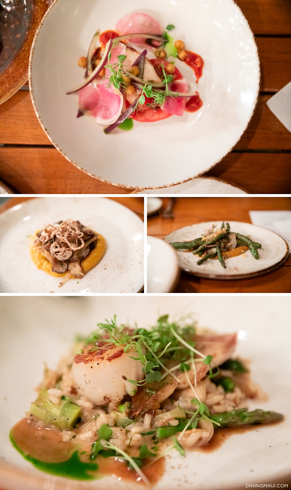 entree courses