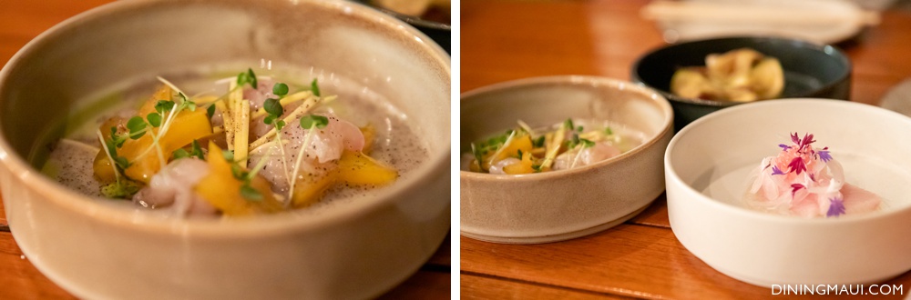 fish crudo