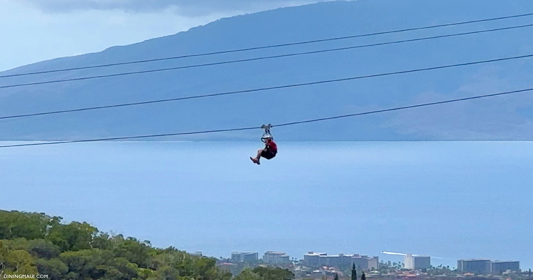 zipline