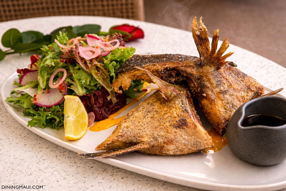 konpachi fish collars